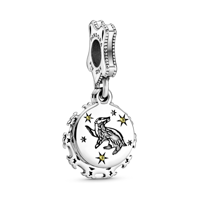 Charms Casa de Hogwarts - Harry Potter - Wayne  Joias