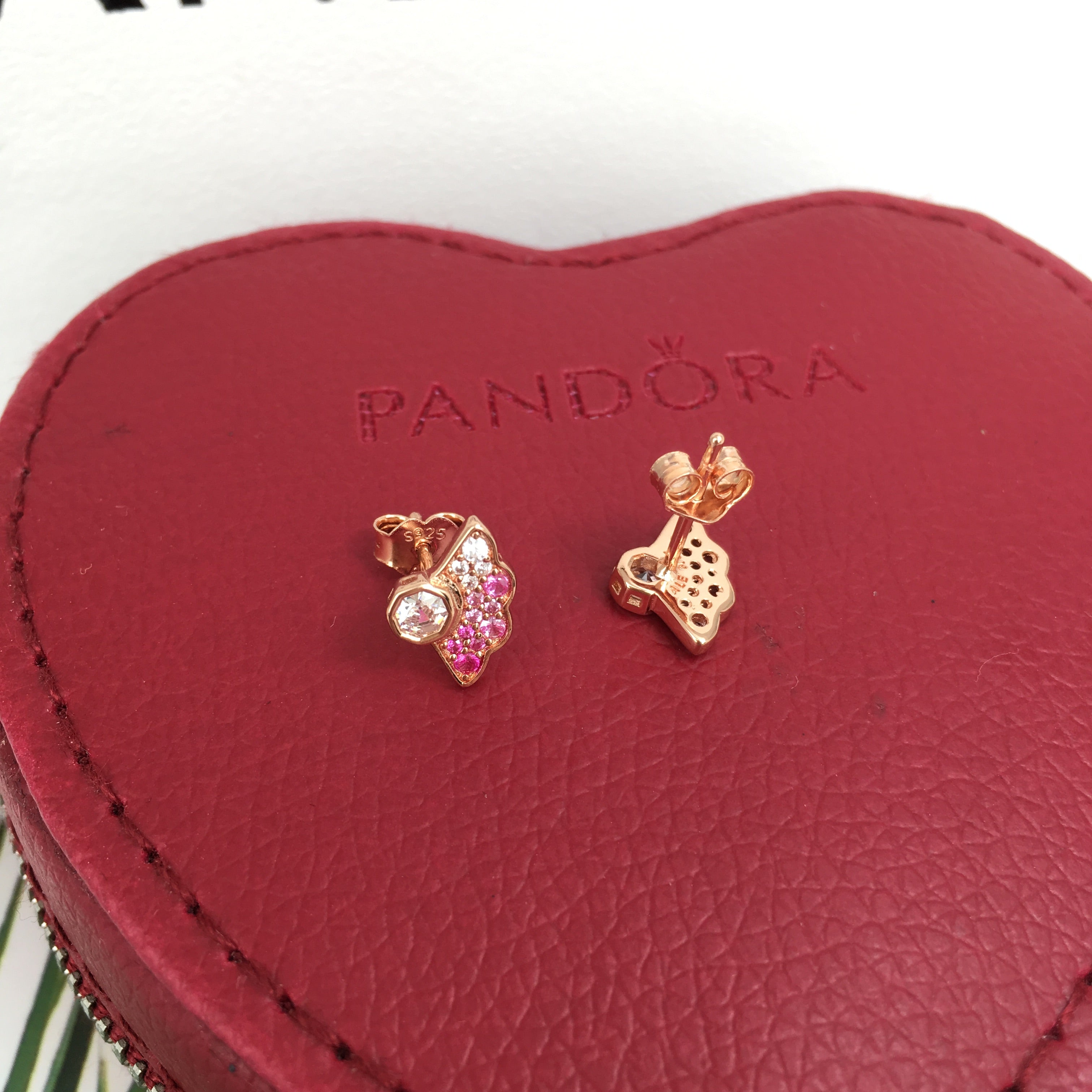 Brincos Leque azul e Rosa - Wayne Joias