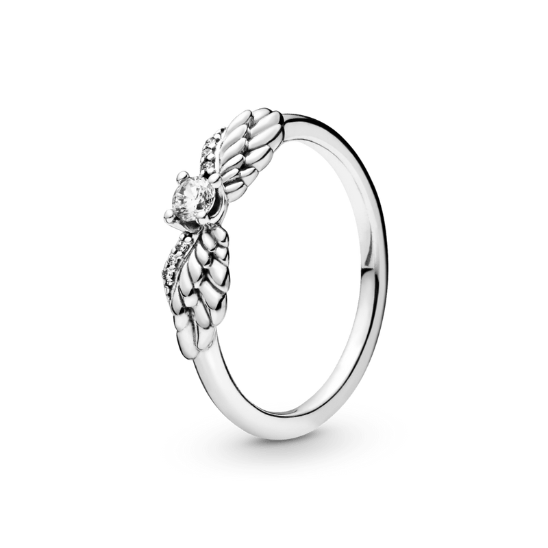 anel asas da proteção