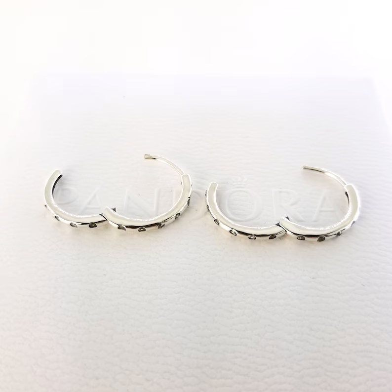 Brinco Argola Ponto de Luz - Wayne Joias