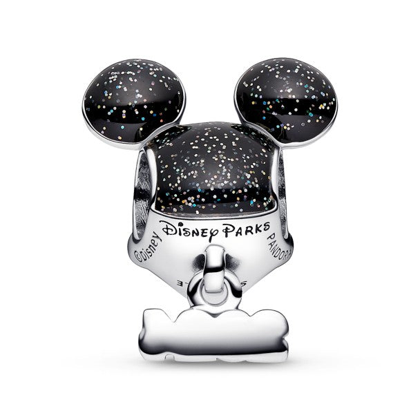 Charm Disney Parks 2024
