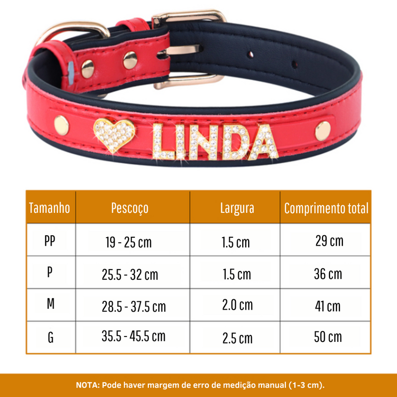 Coleira personalizada com Charm - Wayne  Joias